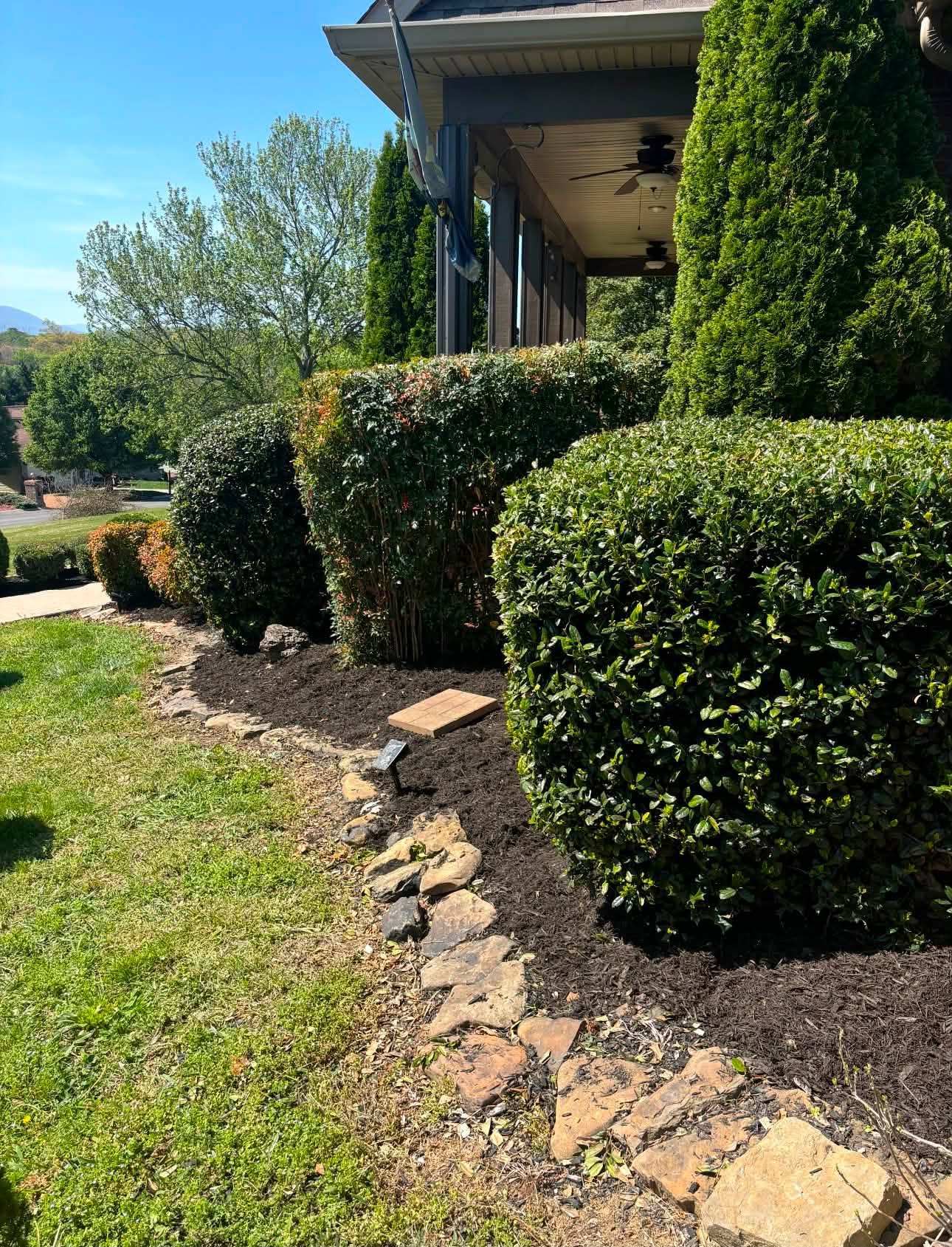Freshly mulched landscape beds with sculpted hedges